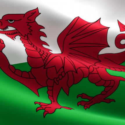 vlag-wales-150cm