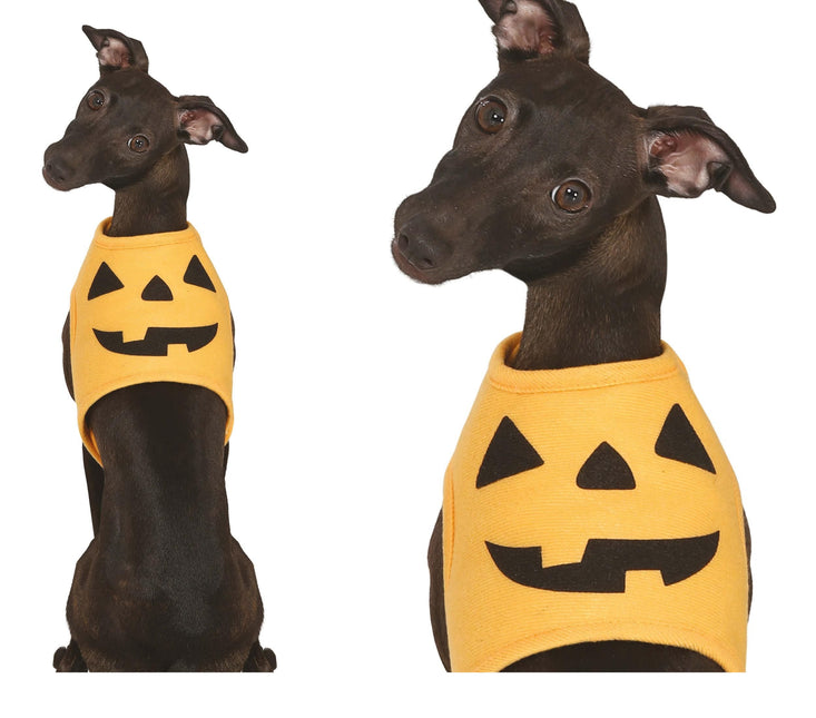 Halloween Tiere Kostüm Kürbis Maskottchen