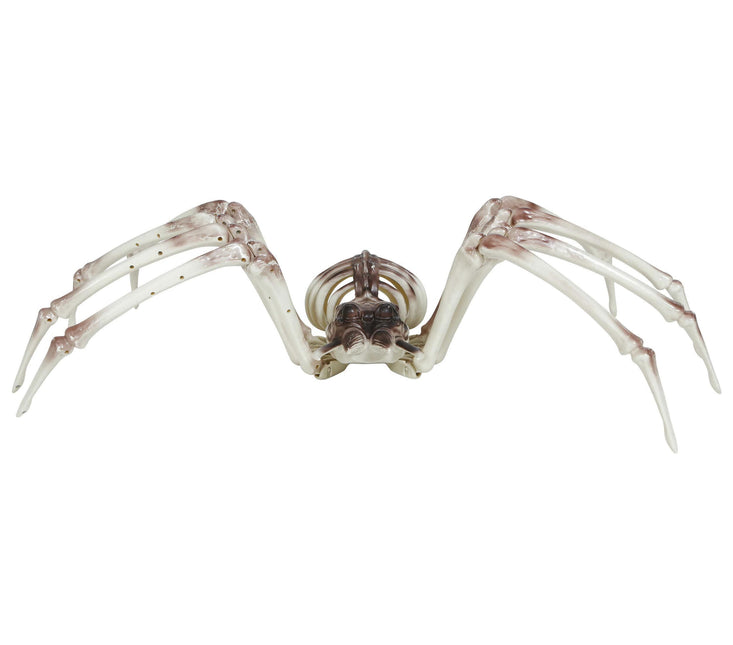 Halloween Skelett Spinne 85cm