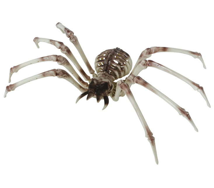 Halloween Skelett Spinne 85cm