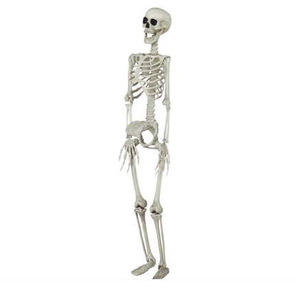 Halloween Skelett 90cm