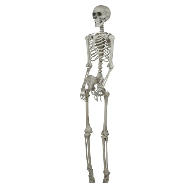 Halloween Skelett 1,6m