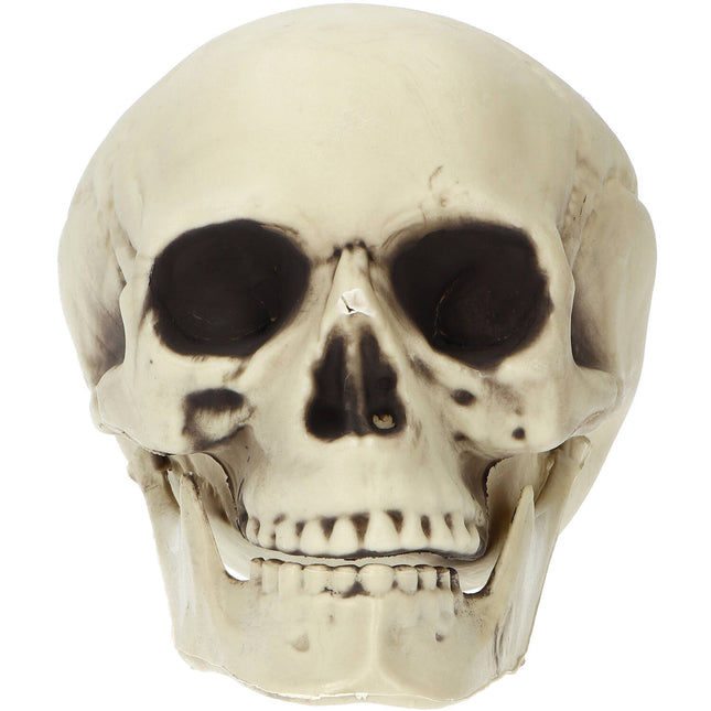 Halloween Totenkopf 19cm