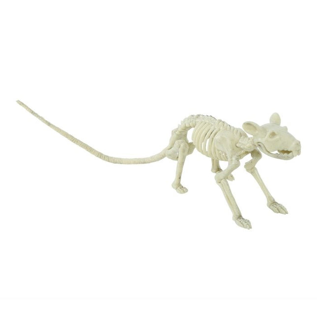 Halloween Ratte Skelett 20cm