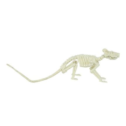 Halloween Ratte Skelett 20cm