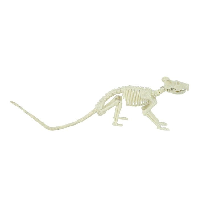 Halloween Ratte Skelett 20cm