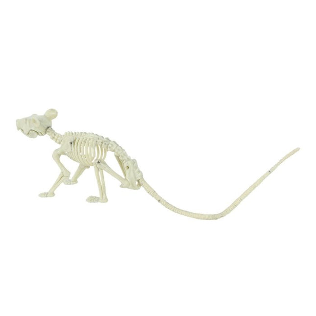 Halloween Ratte Skelett 20cm