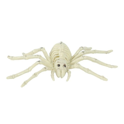 Halloween Spinne Skelett 24cm