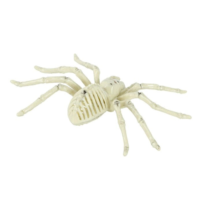 Halloween Spinne Skelett 24cm