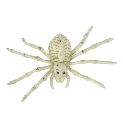 Halloween Spinne Skelett 24cm