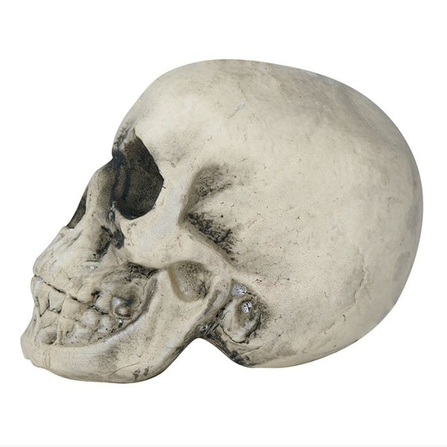 Halloween Totenkopf 22cm