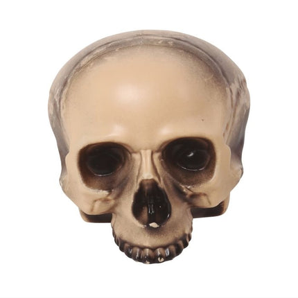 Halloween Halb-Totenkopf 20cm