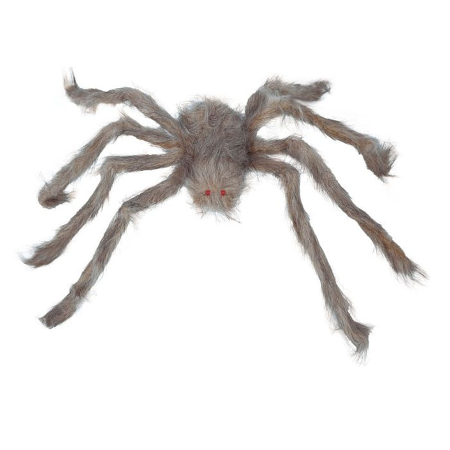 Halloween Spinne Grau 70cm