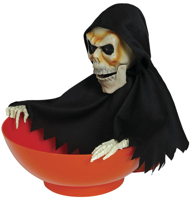 Halloween Schale mit Skelett 24m