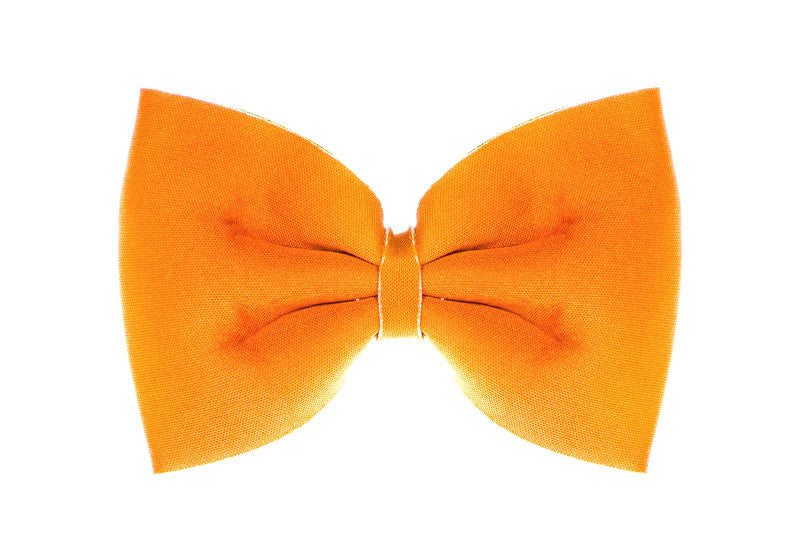 Fliege orange