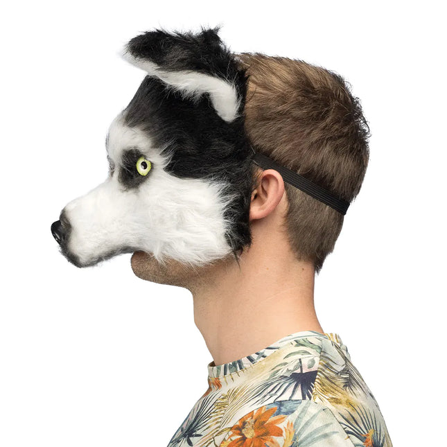 Schwarze und weiße Maske Husky Plüsch