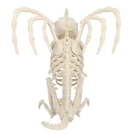 Halloween Skelett Wasserspeier 34cm