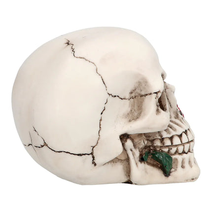 Halloween Totenkopf Casanova 13,5cm