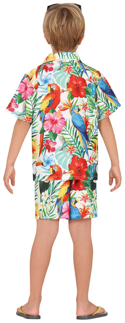 Hawaii Set Tropischer Junge