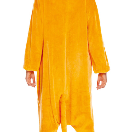 Pokemon Onesie Charmander