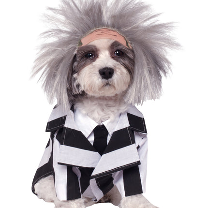 Beetlejuice Hundekostüm