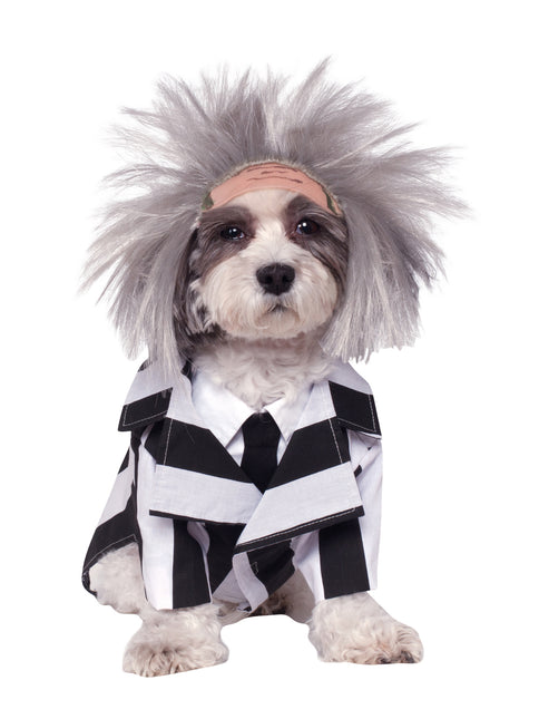 Beetlejuice Hundekostüm