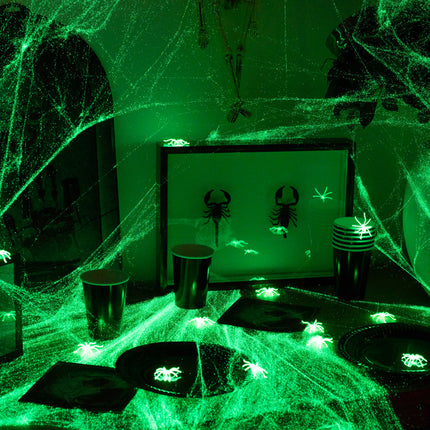 Halloween Spinnennetz Glow In The Dark