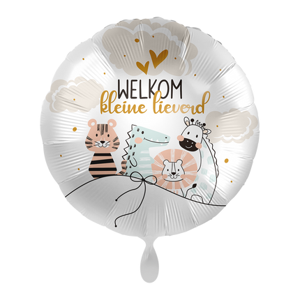 Heliumballon Willkommen kleiner Schatz