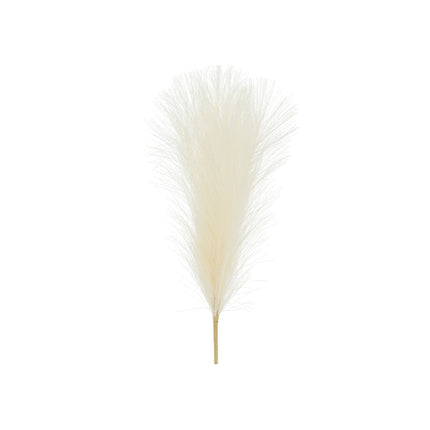 Trockenblumen Pampas 45cm