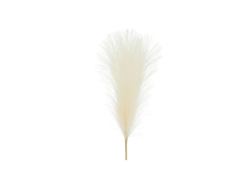 Trockenblumen Pampas 45cm