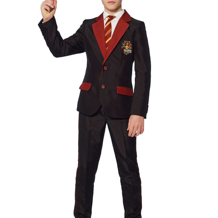 Harry Potter Anzug Junge Gryffindor