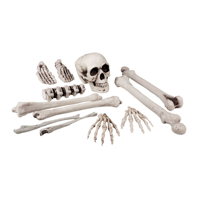 Halloween Skelett 12 Stück