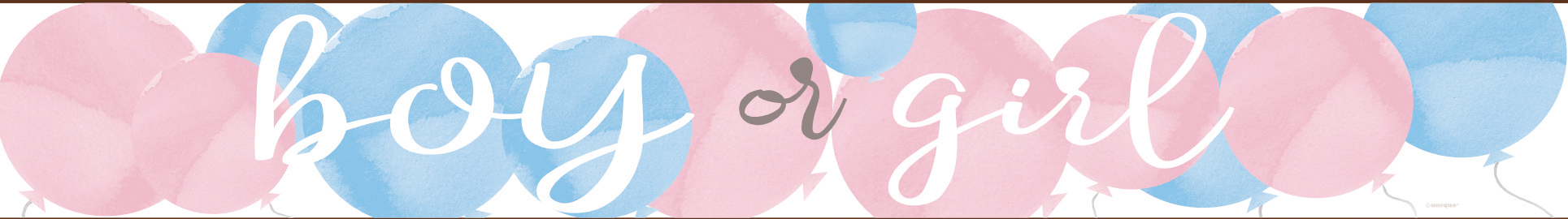 Gender Reveal Banner Junge oder Mädchen 2.74m