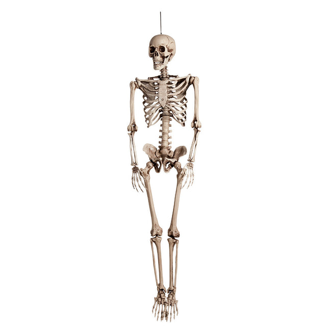Halloween Puppe Skelett 160cm