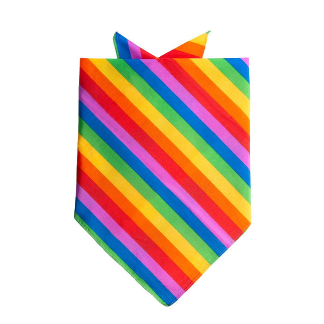 Bandana Regenbogen 55cm