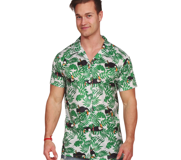 Hawaii Shirt Palmen