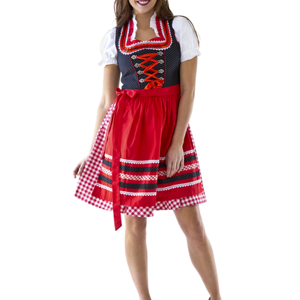 Rot Weiß Dirndl Kleid Oktoberfest Damen Kariert