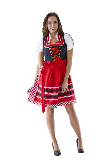 Rot Weiß Dirndl Kleid Oktoberfest Damen Kariert