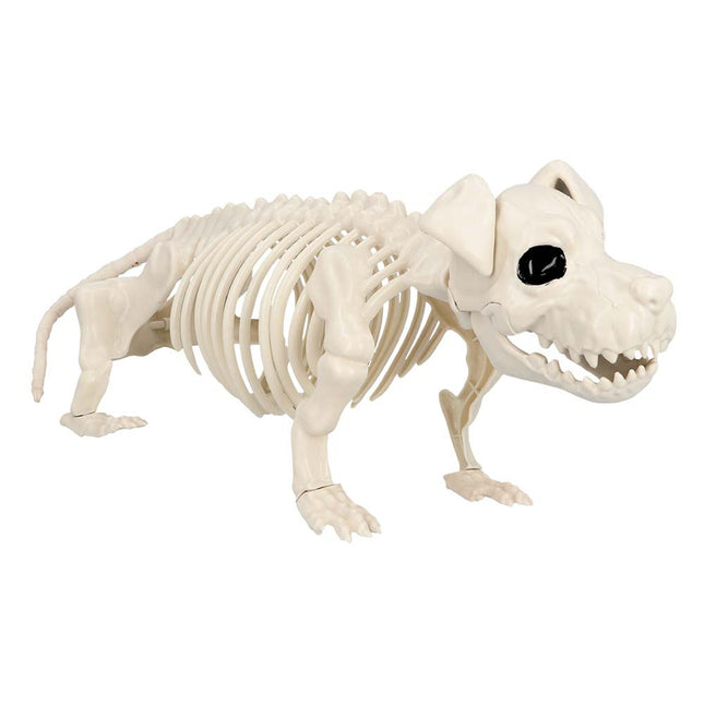 Halloween Hundeskelett 52cm