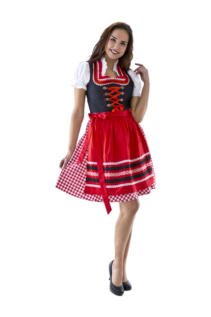 Rot Weiß Dirndl Kleid Oktoberfest Damen Kariert