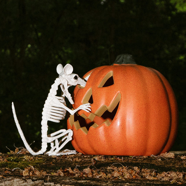 Halloween Ratte Skelett 18cm