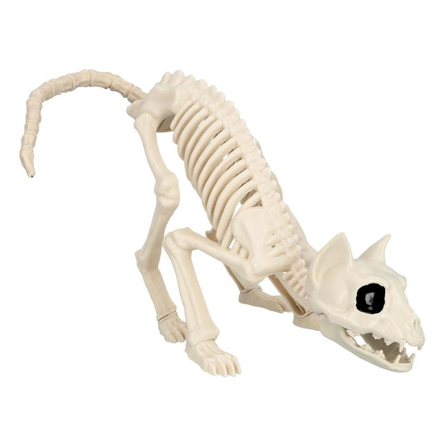 Halloween Katze Skelett 51cm