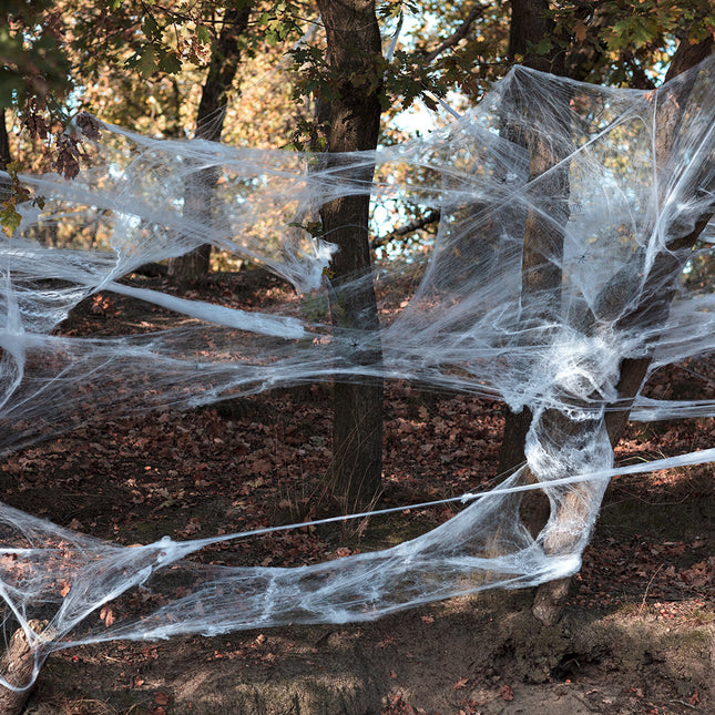 Halloween Spider Wrag Set 26 Teile