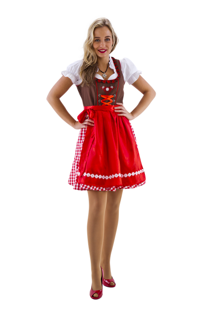 Dirndl braun-rot/weiß kariert