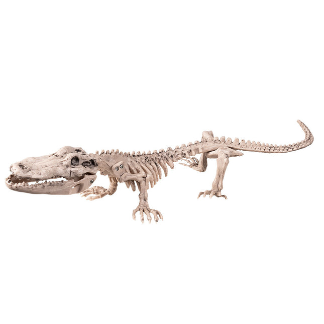 Halloween Krokodil Skelett 50cm