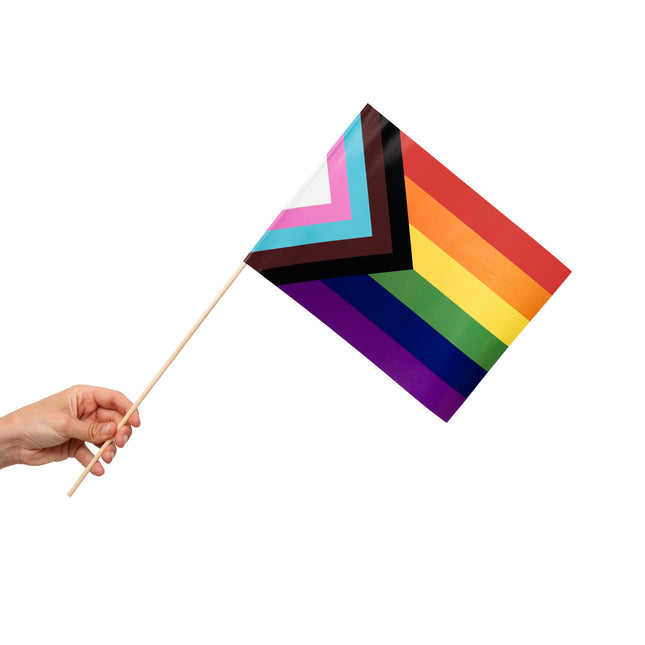 Regenbogenflagge Fortschritt 10 Stk.