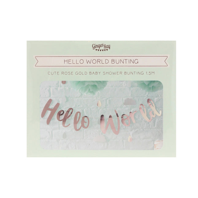 Rose Gold Buchstabengirlande Hallo Welt 1,5m