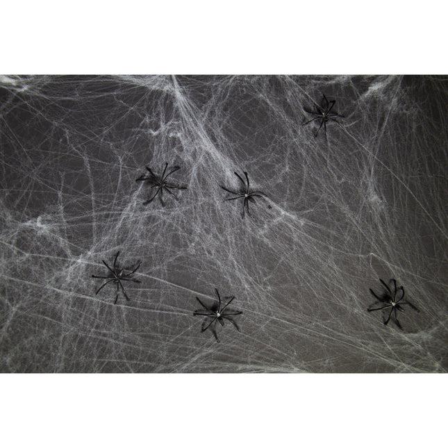 Spinnennetz mit 6 Spinnen 100gr