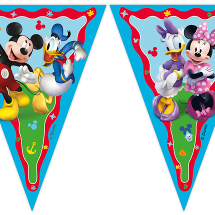 Mickey Rock The House Flag Line