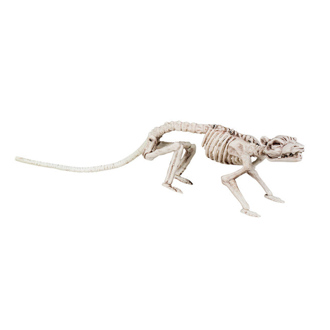 Halloween Skelett Ratte 35cm